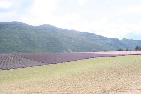 拉罗玛莱恩住宿加早餐旅馆 Barnave 外观 照片